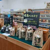 安い！うまい！いつでも買える！みかん専門店