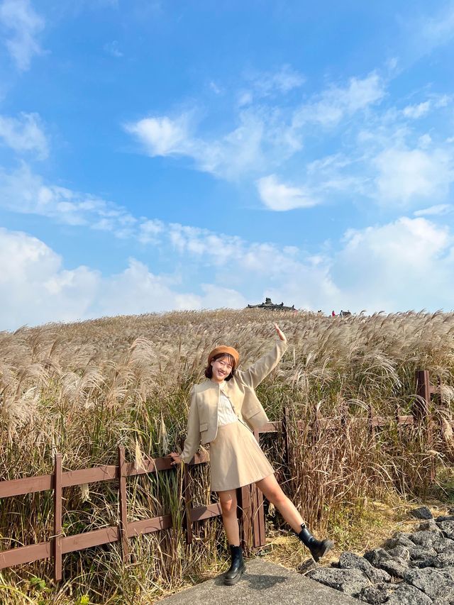 제주 가을감성 가득한 곳, ‘산굼부리’