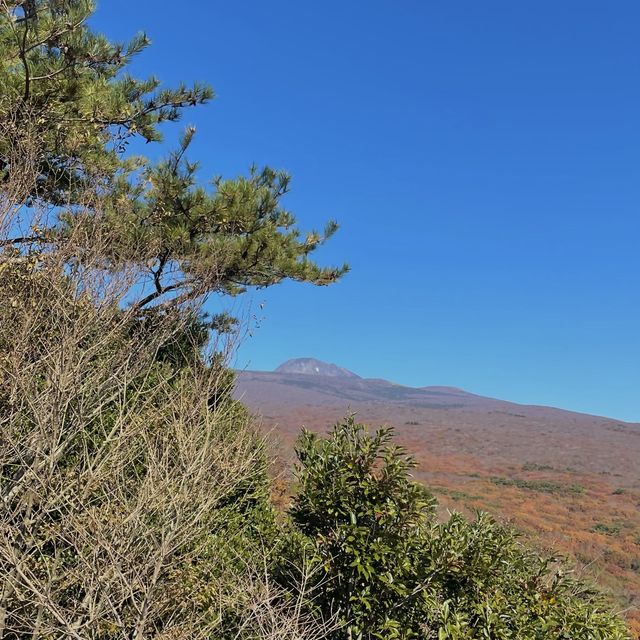 바다반 산반⛰