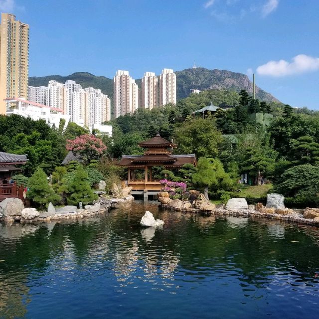 過完馬路 馬上令你 回到大自然  甚至乎好似去咗日本
