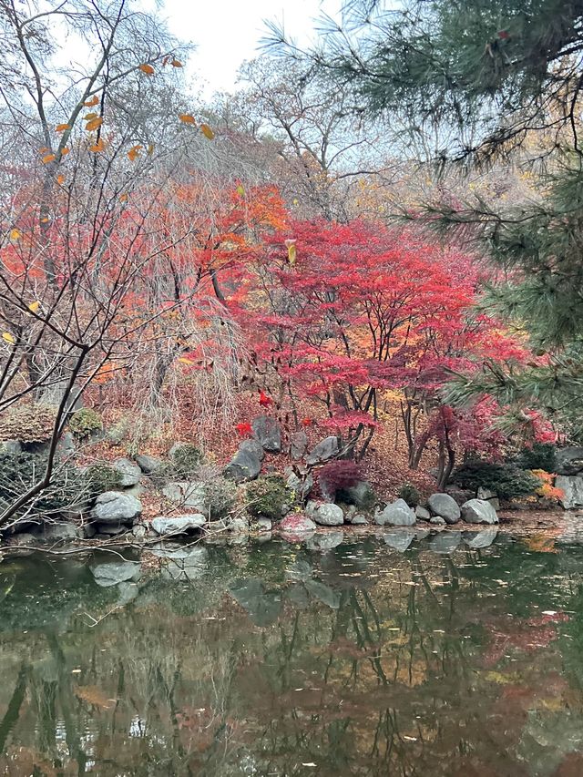 韓國最高顏值的大學