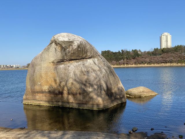 속초 