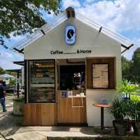 You will fall in love with this cafe❗️