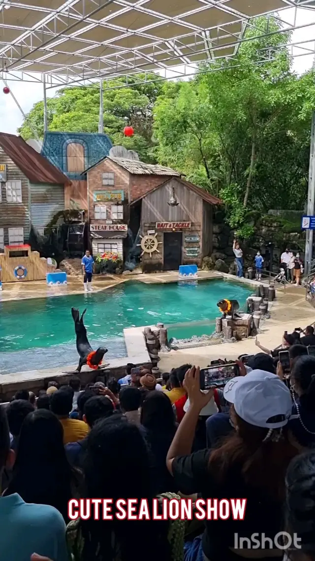 Real Safari Experience in Bangkok