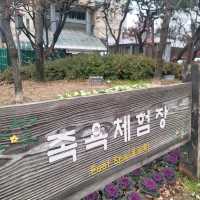 겨울여행 대전 인기 스팟 유성온천 족욕 체험장