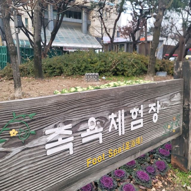 겨울여행 대전 인기 스팟 유성온천 족욕 체험장