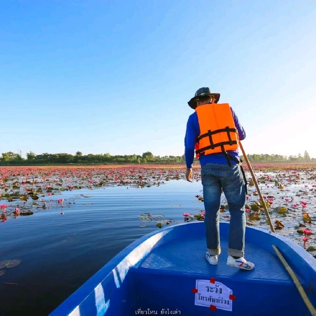 ทะเลบัวแดง จังหวัดกาฬสินธุ์
