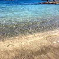 興津海水浴場