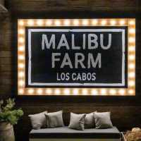 Malibu Farm In Los Cabos