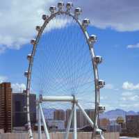 Riding the high roller