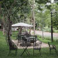 Canary Café & Restaurant. 