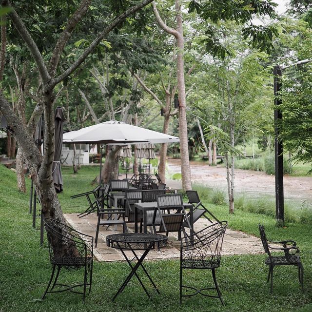 Canary Café & Restaurant. 