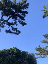 여수 섬 여행 추천 :: 아름다운 예술의 섬 장도🌊