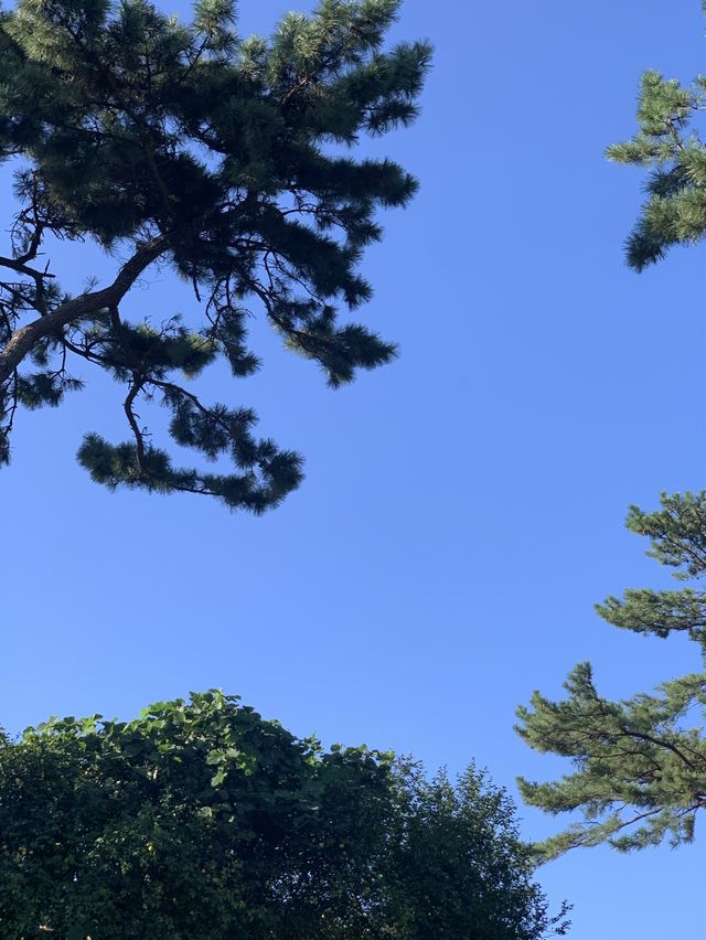 여수 섬 여행 추천 :: 아름다운 예술의 섬 장도🌊
