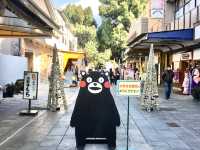 【熊本】水前寺公園で枝垂れ桜を鑑賞