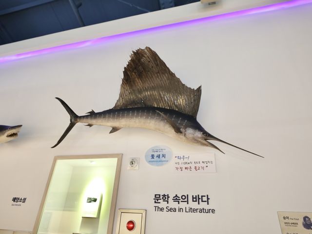 제주 서귀포 해양동물박물관 재미난 바닷속 이야기