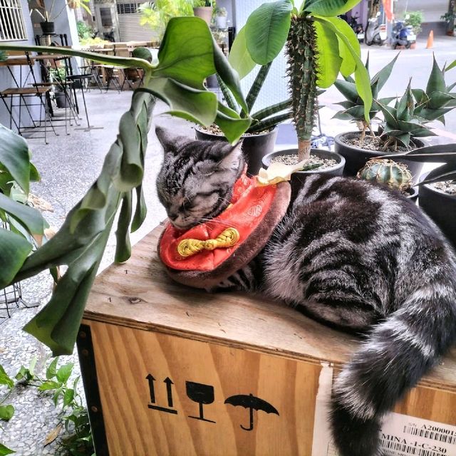 高雄三民區Formula Coffee Roaster 程式咖啡