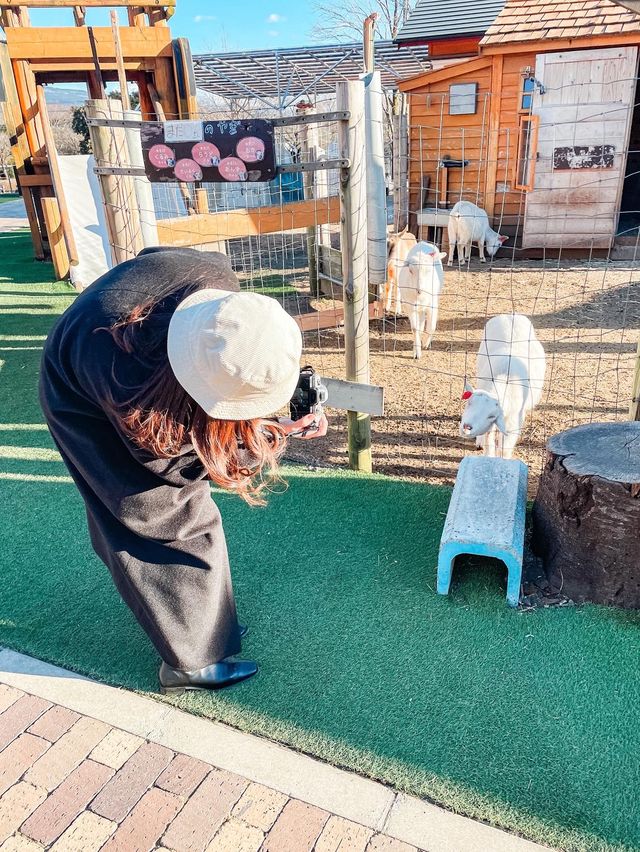 まかいの牧場