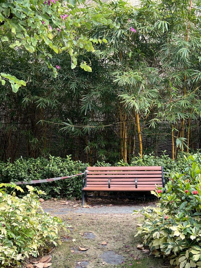 💕拖手漫步於荔枝角公園 👫