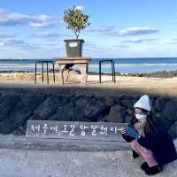 제주 힐링 바다 🌊 세화해변 [제주에 오길 참 잘했다]