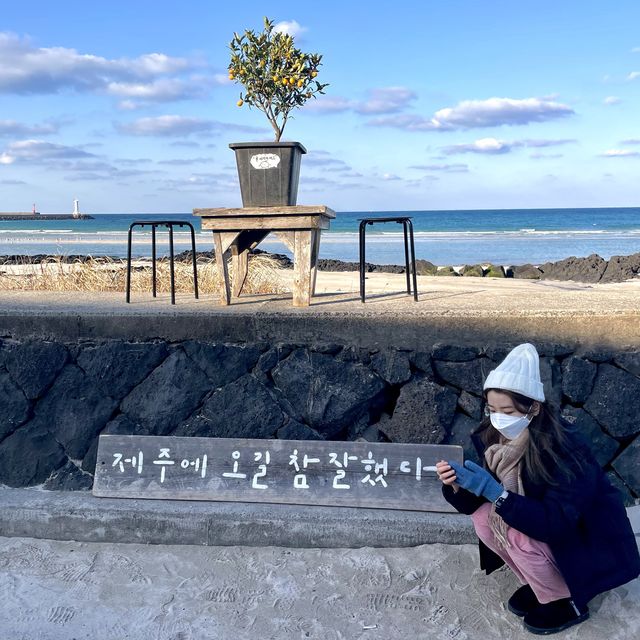제주 힐링 바다 🌊 세화해변 [제주에 오길 참 잘했다]