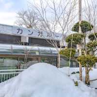 冬の円山動物園・カンガルー館
