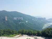 港島劏青蛙