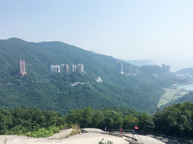 港島劏青蛙