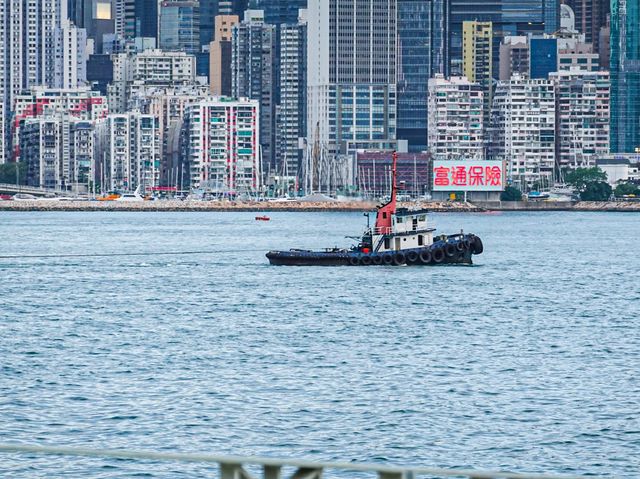 聽海笑的聲音