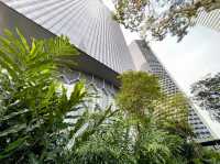 Garden in the city