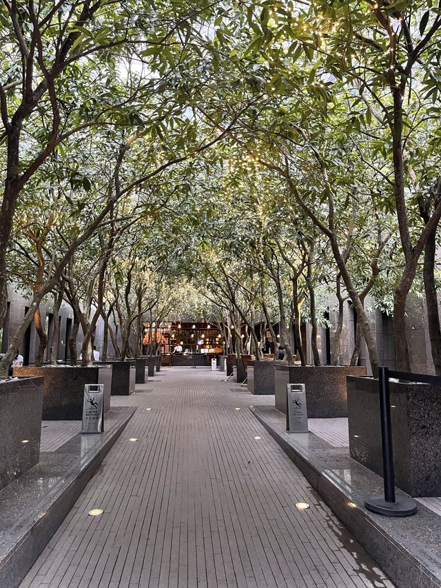 靚景酒店🫶🏻灣仔🤞🏻