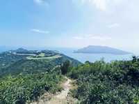 上洋山