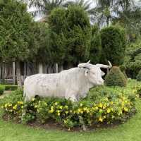 Night Safari in Chiang Mai, Thailand 