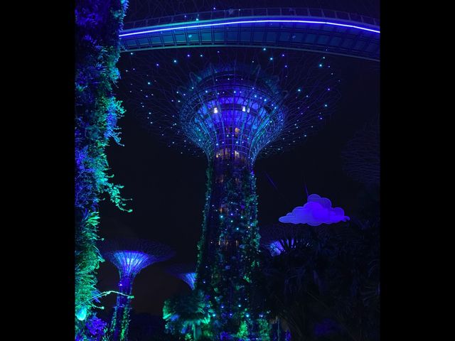 Colorful, Giant “Trees” at Gardens By The Bay