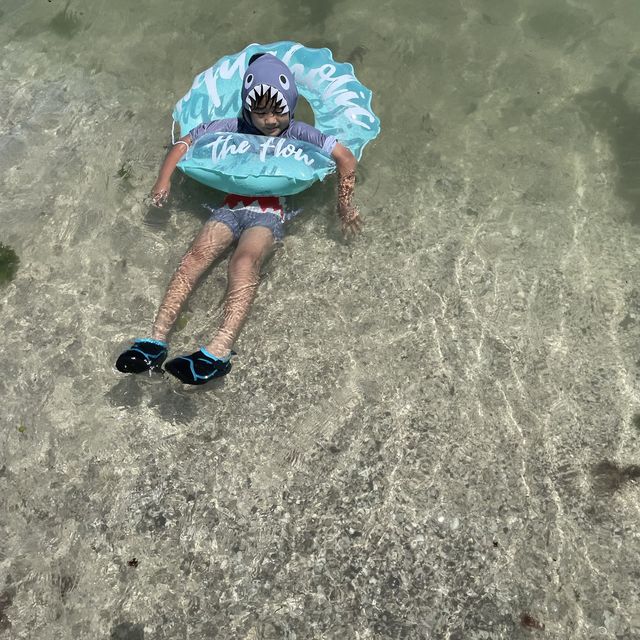 【神奈川県】透き通った海と白砂のたたら浜