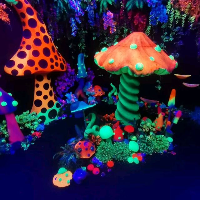 3D Glow in the Dark Museum