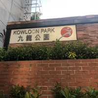  Visit the Largest Park in Downtown Kowloon 