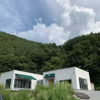 맑은 공기와 마운틴 뷰 /충북 단양 리틀 포레스트