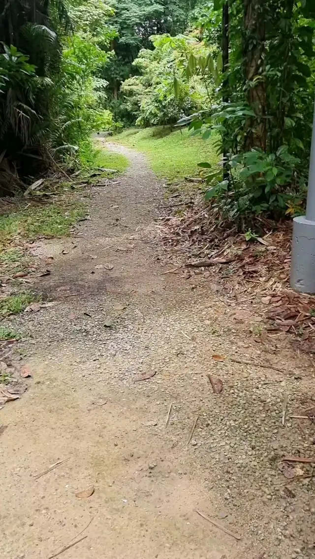 The Nature Walk In Hort Park