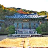 Beomeosa Temple @Busan