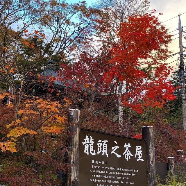 東京近郊紅葉名所🍁 龍頭瀑布
