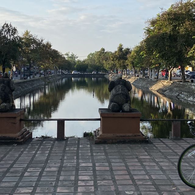 morning ANYWHEEL bike in Chiang Mai