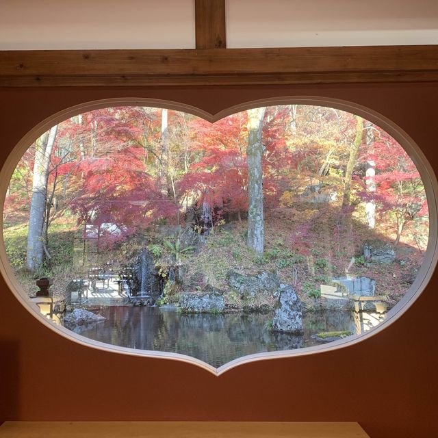紅葉　群馬　吉祥寺