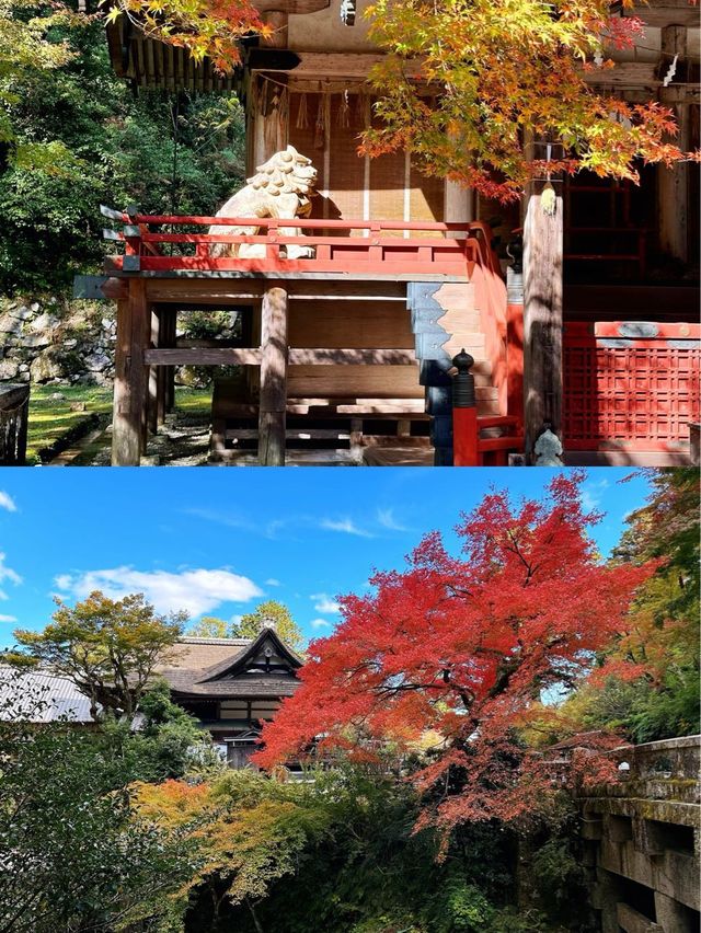 日吉大社大社