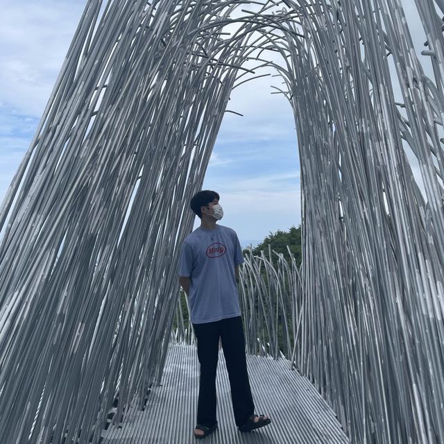 강릉 하슬라아트월드 다녀왔어요🤍