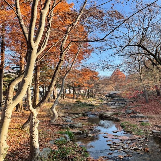 단풍 보며 데이트 하기 좋은 명소, 서울 대공원