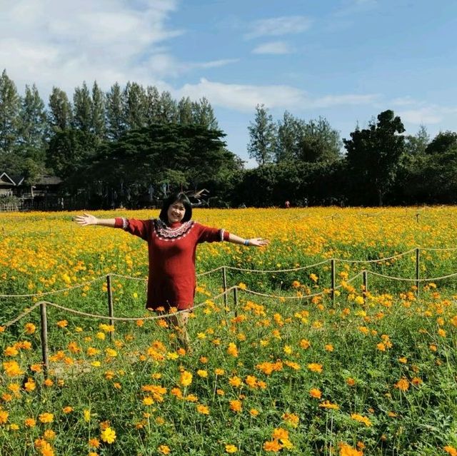 จิมทอมสันฟาร์ม