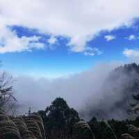 Yilan Taipingshan - bathing in the cloud
