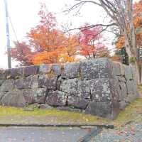 岩手県！盛岡城跡公園の紅葉