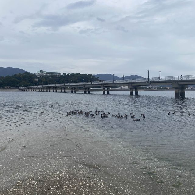 日本神秘小島 竹島